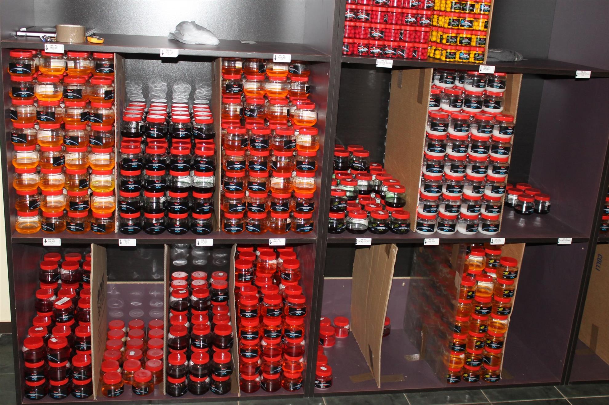 forta senzor - 885727217254158412928711715627o11.jpg